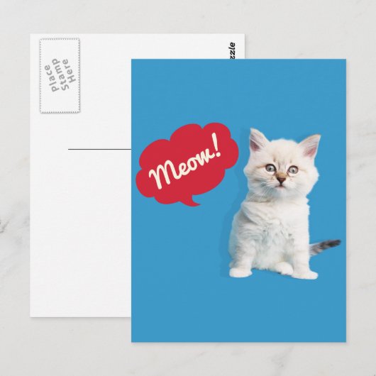 Cute Kitten Meow Caption Briefkaart (Voorkant / Achterkant)