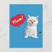 Cute Kitten Meow Caption Briefkaart (Voorkant)