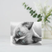 Cute Kitten met Blue-Eyes Briefkaart (Staand voorkant)