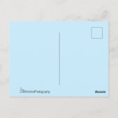 Cute Kitten met Blue-Eyes Briefkaart (Achterkant)