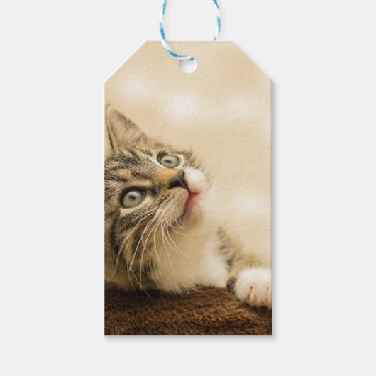 Cute Kitten met een uitgerekt paw Cadeaulabel (Voorkant)