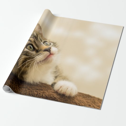 Cute Kitten met een uitgerekt paw Cadeaupapier (Uitgerold)