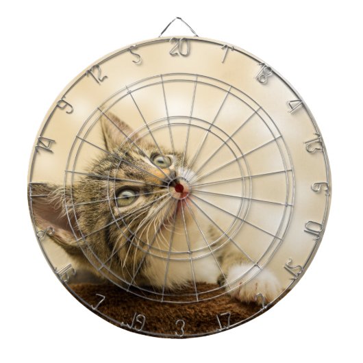 Cute Kitten met een uitgerekt paw Dartbord (Voorkant)