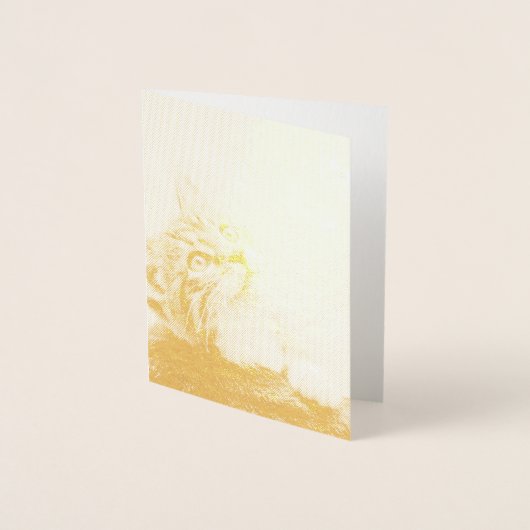 Cute Kitten met een uitgerekt paw Folie Kaarten (Voorkant)