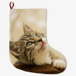 Cute Kitten met een uitgerekt paw Grote Kerstsok