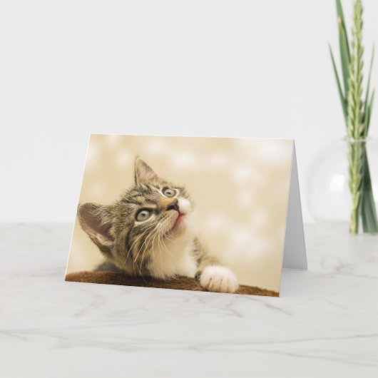 Cute Kitten met een uitgerekt paw Kaart (Voorkant)