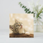Cute Kitten met een uitgerekt paw Kaart (Staand voorkant)