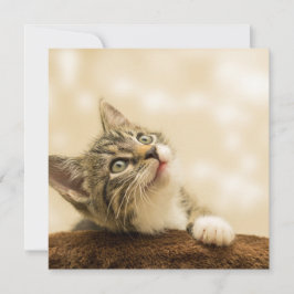 Cute Kitten met een uitgerekt paw Kaart
