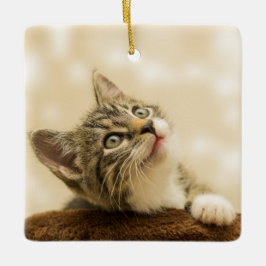 Cute Kitten met een uitgerekt paw Keramisch Ornament
