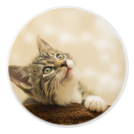 Cute Kitten met een uitgerekt paw Keramische Knop