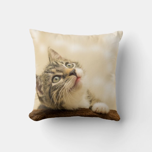 Cute Kitten met een uitgerekt paw Kussen (Voorkant)
