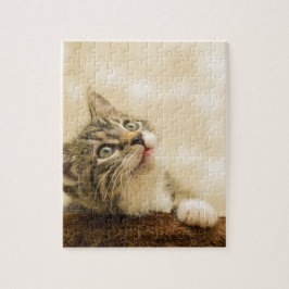 Cute Kitten met een uitgerekt paw Legpuzzel