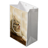 Cute Kitten met een uitgerekt paw Medium Cadeauzakje (Voorkant Gekanteld)