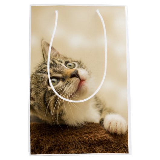 Cute Kitten met een uitgerekt paw Medium Cadeauzakje (Voorkant)