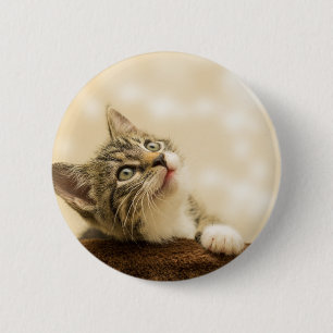 Cute Kitten met een uitgerekt paw Ronde Button 5,7 Cm