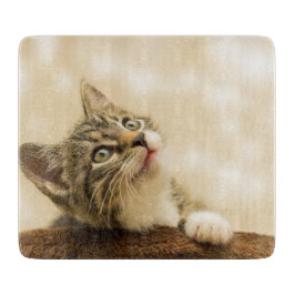 Cute Kitten met een uitgerekt paw Snijplank