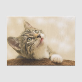 Cute Kitten met een uitgerekt paw Tissuepapier