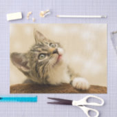 Cute Kitten met een uitgerekt paw Tissuepapier (Craft)