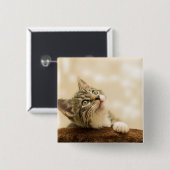 Cute Kitten met een uitgerekt paw Vierkante Button 5,1 Cm (Voorkant /achterkant)