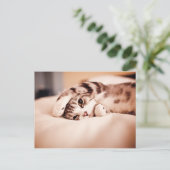 Cute Kitten met Paw over Face Briefkaart (Staand voorkant)