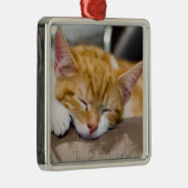 Cute Kitten Metalen Ornament (Rechts)