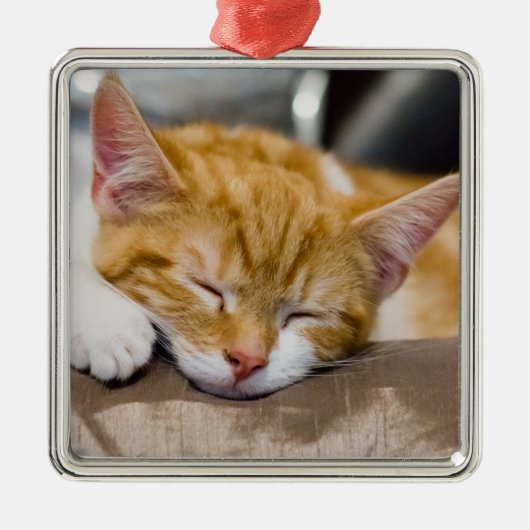 Cute Kitten Metalen Ornament (Voorkant)