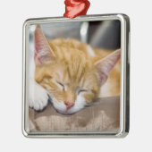 Cute Kitten Metalen Ornament (Links)