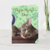 Cute Kitten Moederdag Kaart (Voorkant)