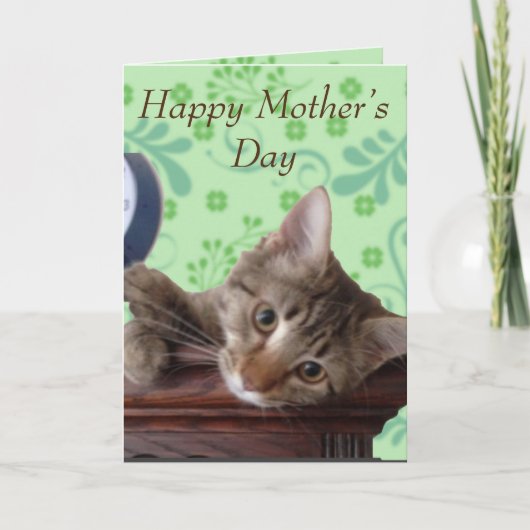 Cute Kitten Moederdag Kaart (Voorkant)
