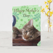 Cute Kitten Moederdag Kaart (Gele Bloem)