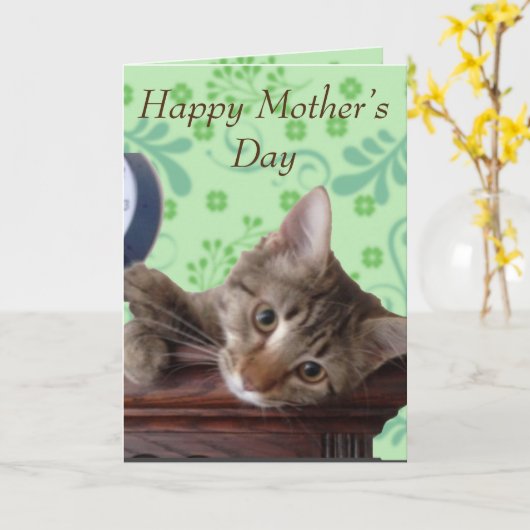 Cute Kitten Moederdag Kaart (Gele Bloem)