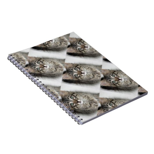 Cute Kitten Notitieboek (Rechterzijde)