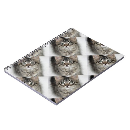 Cute Kitten Notitieboek (Linkerzijde)