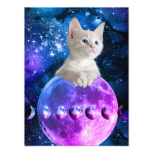 Cute Kitten Op De Maan Glanzende Sterren Universum Foto Afdruk