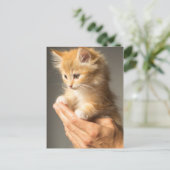 Cute Kitten op handen Briefkaart (Staand voorkant)