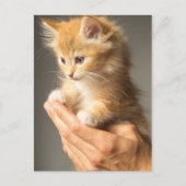 Cute Kitten op handen Briefkaart (Voorkant)