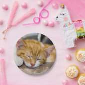 Cute Kitten Papieren Bordje (Feest)