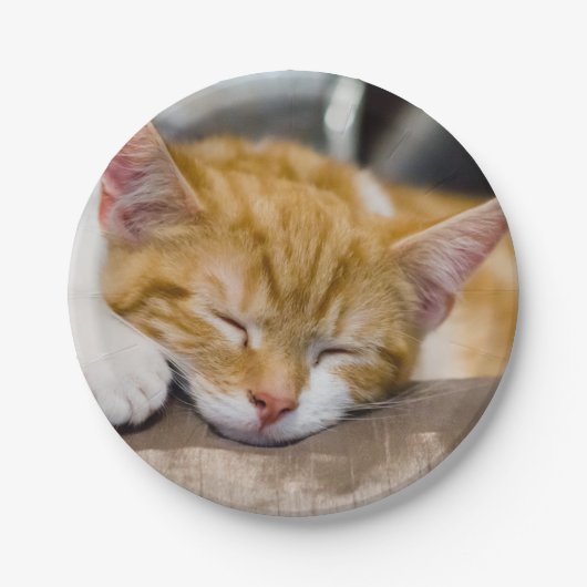 Cute Kitten Papieren Bordje (Voorkant)