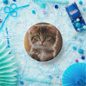 Cute Kitten Papieren Kommen (Feest)