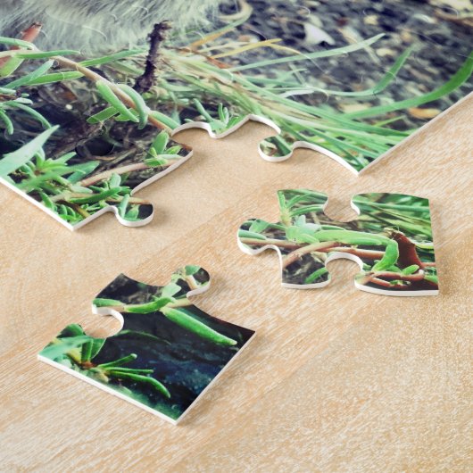 Cute Kitten Photo Legpuzzel (Zijkant)