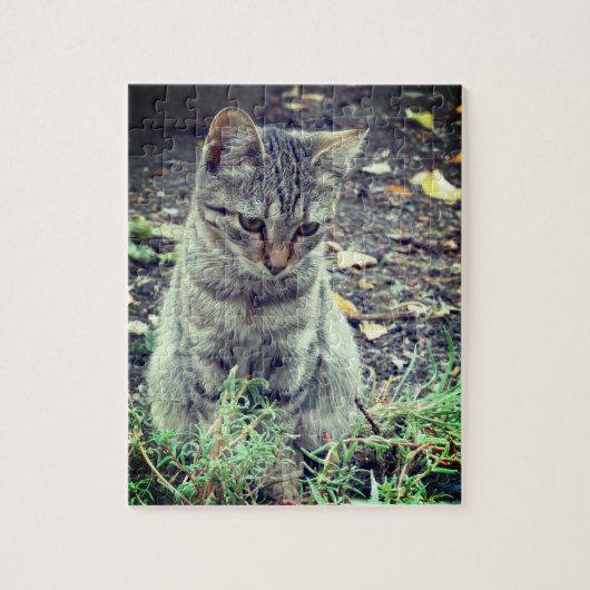 Cute Kitten Photo Legpuzzel (Verticaal)