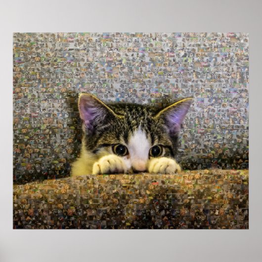 Cute Kitten Photo Mosaic. Poster (Voorkant)