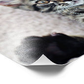 Cute Kitten Photo Print Foto Afdruk (Hoek)