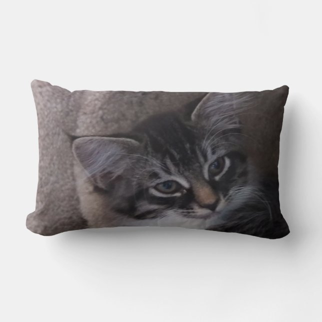 Cute Kitten Pillow Kussen (Voorkant)