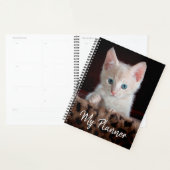 Cute Kitten Planner (Display)