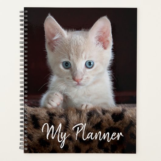 Cute Kitten Planner (Voorkant)