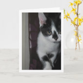 Cute Kitten Portrait Kaart (Gele Bloem)