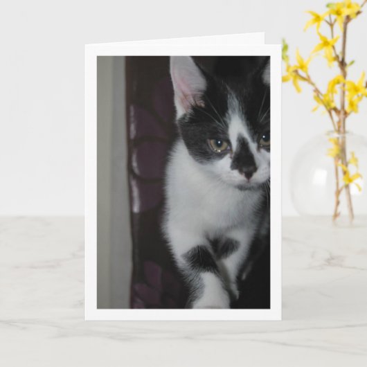 Cute Kitten Portrait Kaart (Gele Bloem)