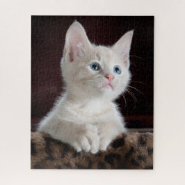 Cute Kitten Portrait Legpuzzel