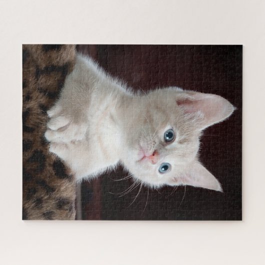 Cute Kitten Portrait Legpuzzel (Horizontaal)